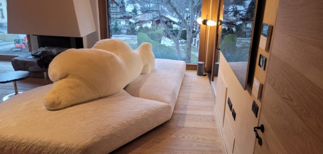 WhatsApp Image 2024-12-26 8